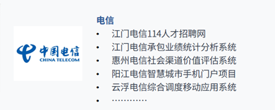 电信项目案例
